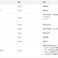 如何使用ImageType定义镜像信息的类型